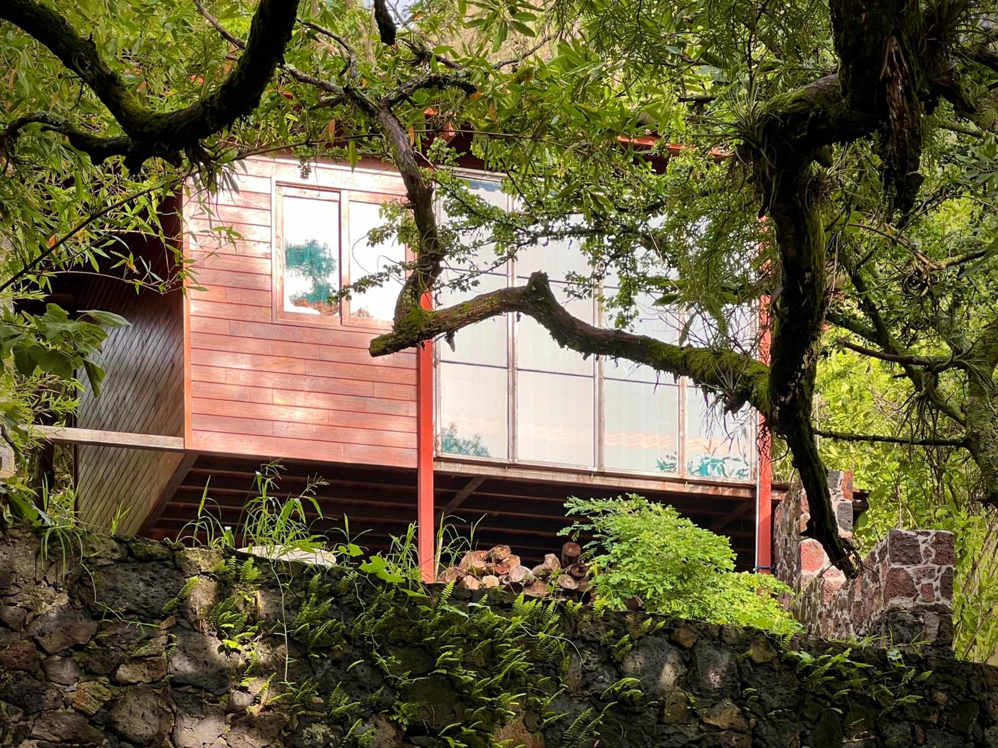 Santuario Ave Fenix-Cabanas Tepoztlán Dış mekan fotoğraf