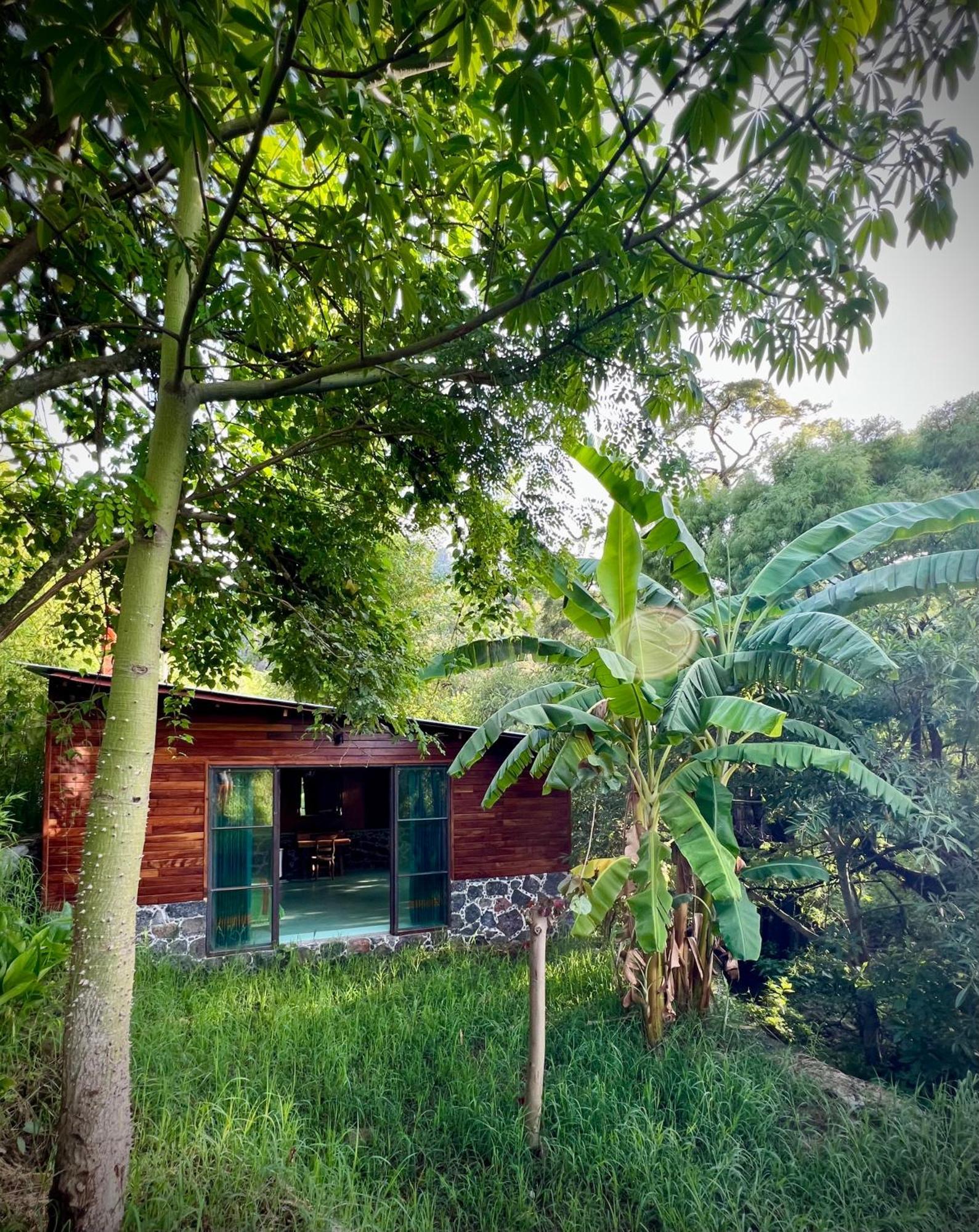 Santuario Ave Fenix-Cabanas Tepoztlán Dış mekan fotoğraf