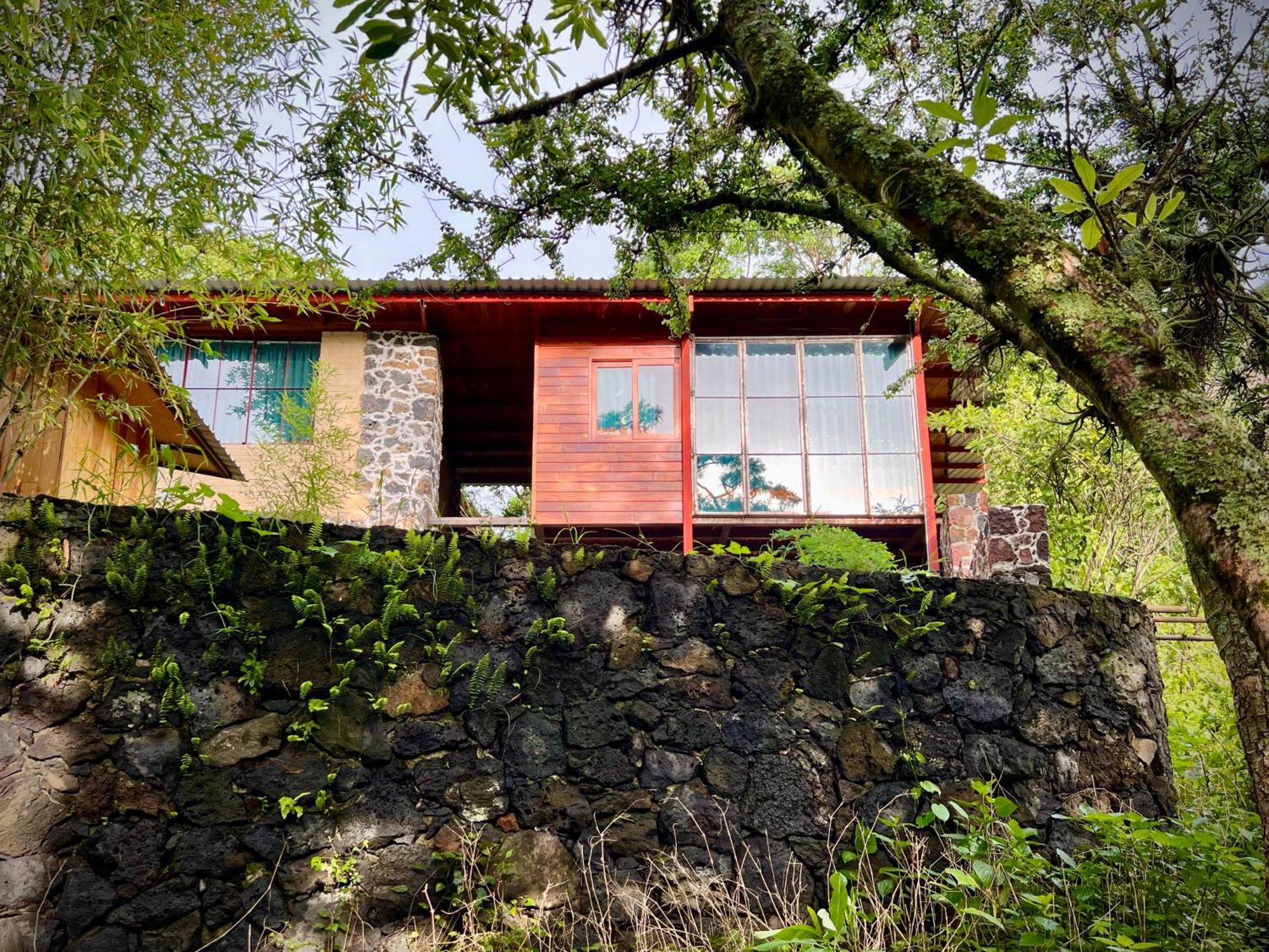Santuario Ave Fenix-Cabanas Tepoztlán Oda fotoğraf