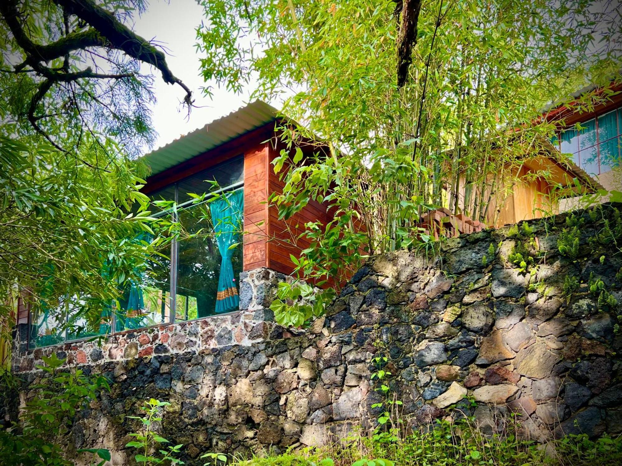 Santuario Ave Fenix-Cabanas Tepoztlán Oda fotoğraf