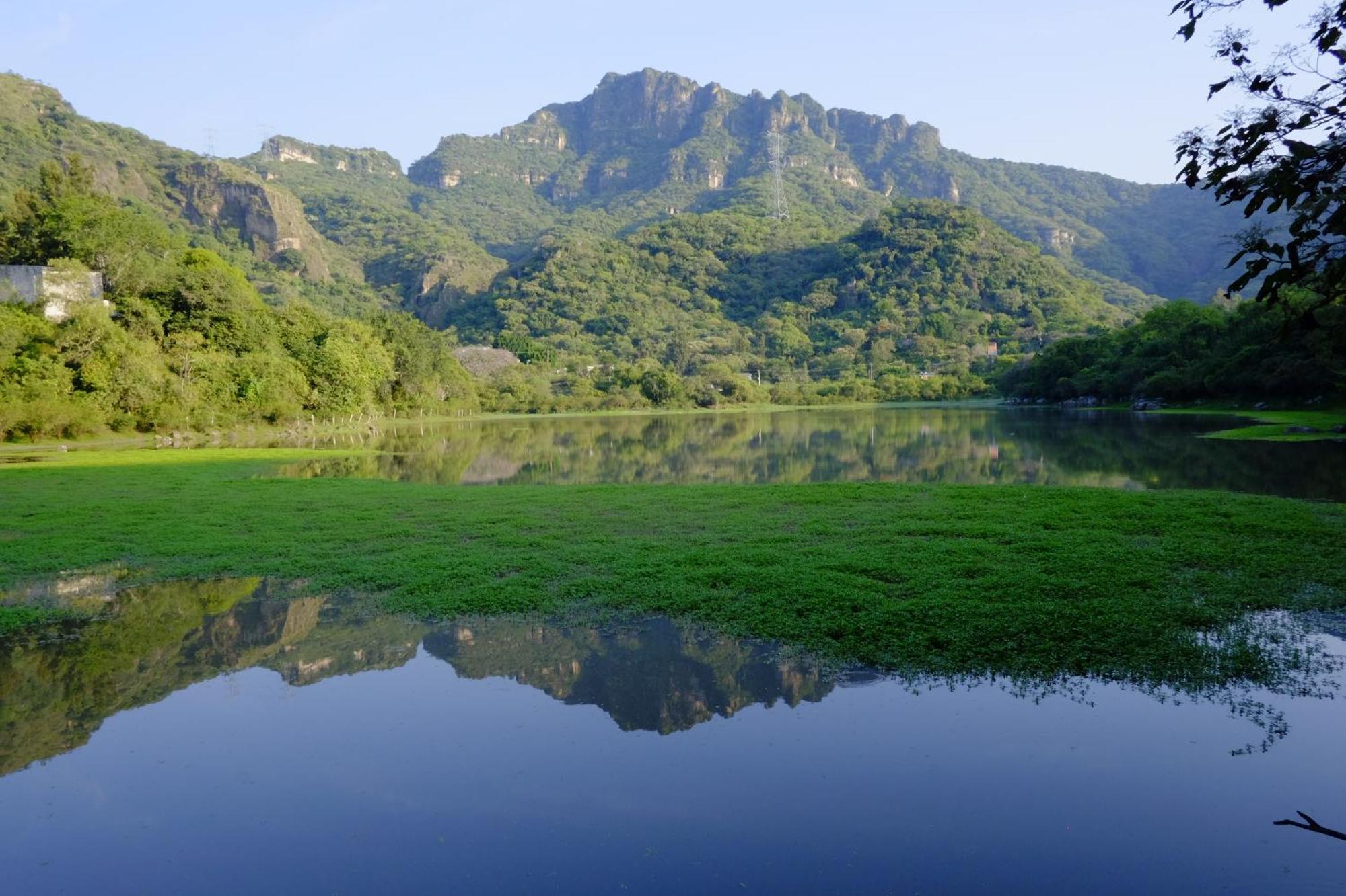 Santuario Ave Fenix-Cabanas Tepoztlán Dış mekan fotoğraf
